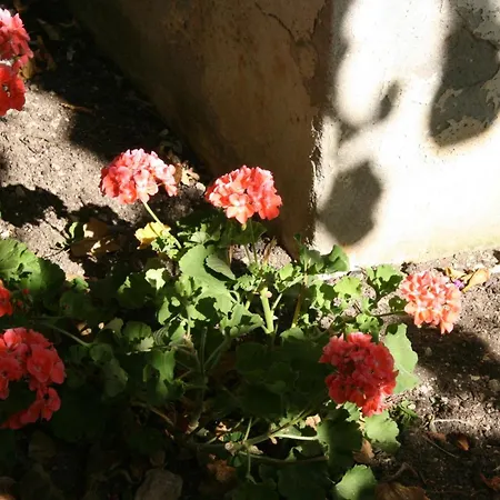 Apartamento With A Parking Space - 6844 Makarska