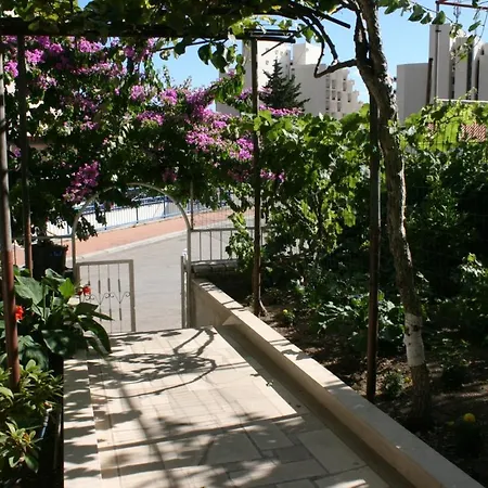 With A Parking Space - 6844 * マカルスカ