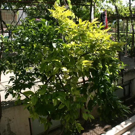 With A Parking Space - 6844 マカルスカ