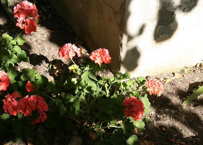 Apartment With A Parking Space - 6844 Makarska