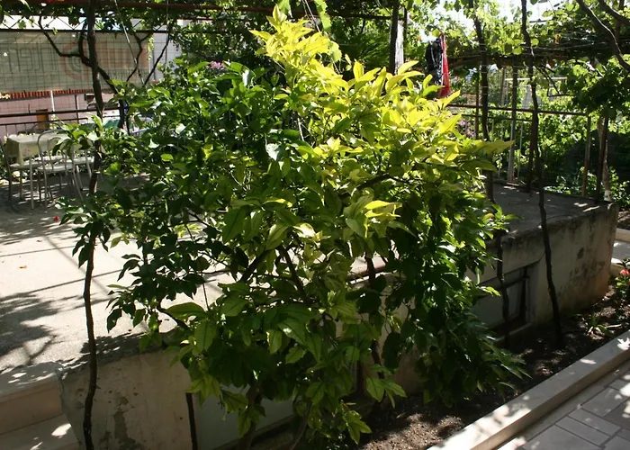 With A Parking Space - 6844 Makarska